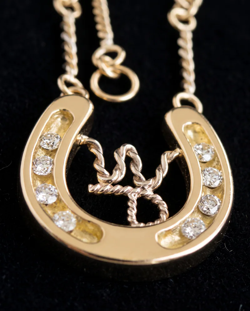 Diamond Horseshoe Brand Pendant, by Ahern & Brucker