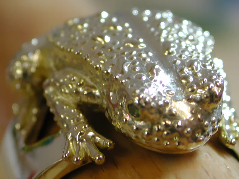 A Gold Toad with Green Diamond Eyes