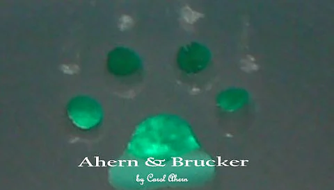 The paw print
