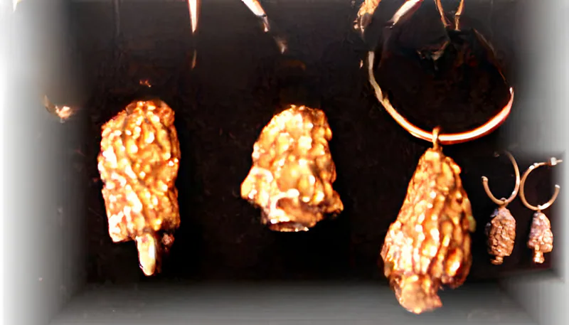 Morel & Chanterelle Pendants and Earrings, by Ahern & Brucker