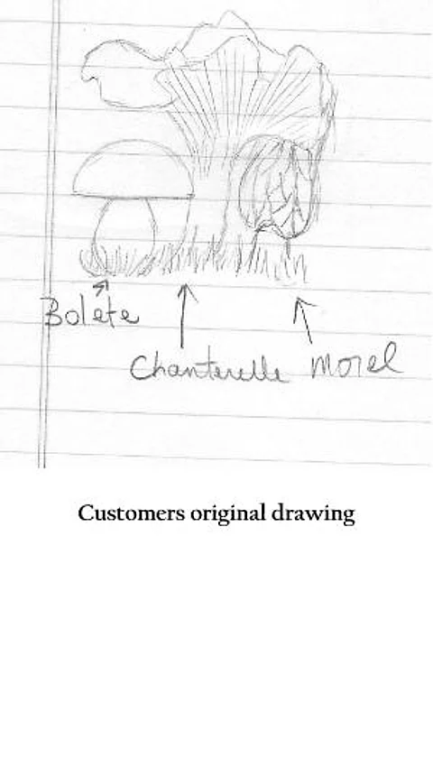 The client's original drawing