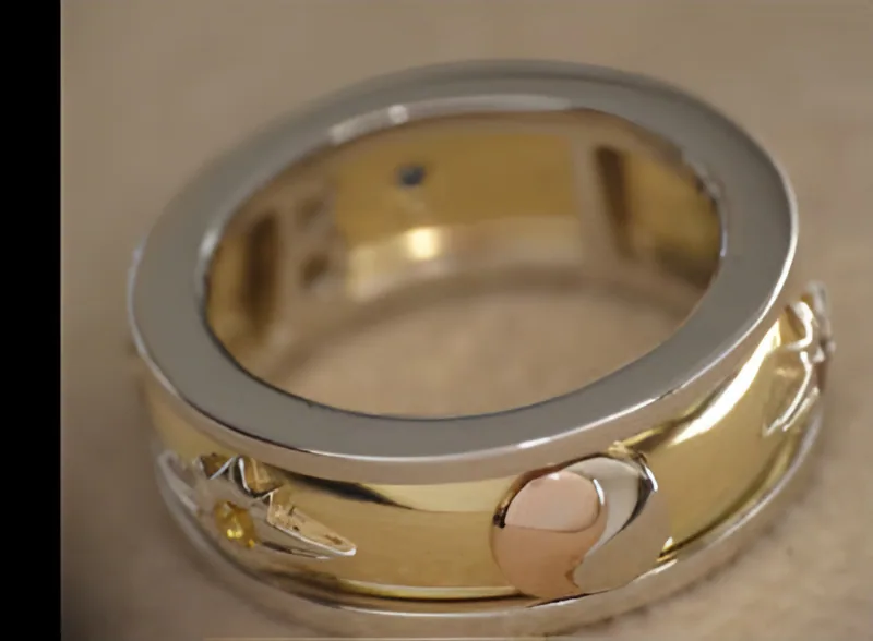 Yin Yang Masterpiece Ring, by Ahern & Brucker